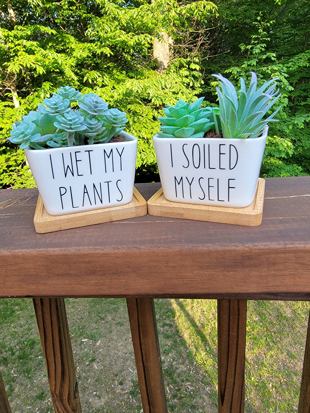2 Pack Square Funny Succulent Planters I Soiled Myself & I Wet My Plants, Plants Not Included