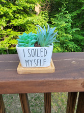 Load image into Gallery viewer, 2 Pack Square Funny Succulent Planters I Soiled Myself &amp; I Wet My Plants, Plants Not Included
