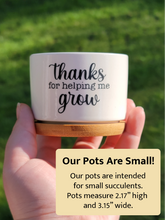 Load image into Gallery viewer, Thanks For Helping Me Grow Succulent Pots
