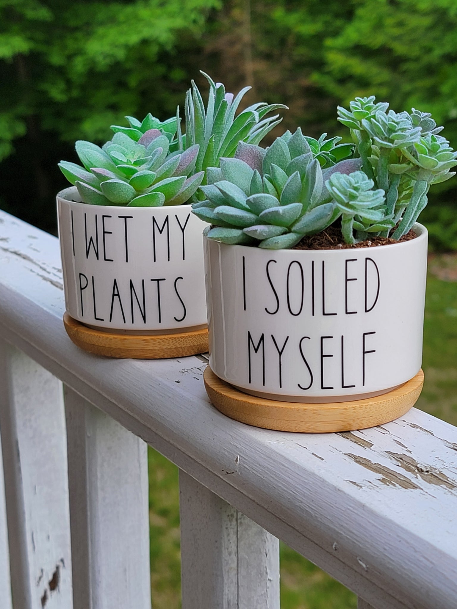 i wet my plants pot Two Pack I Soiled Myself & I Wet My Plants Funny Succulent Pots – Vulpine Vinyls