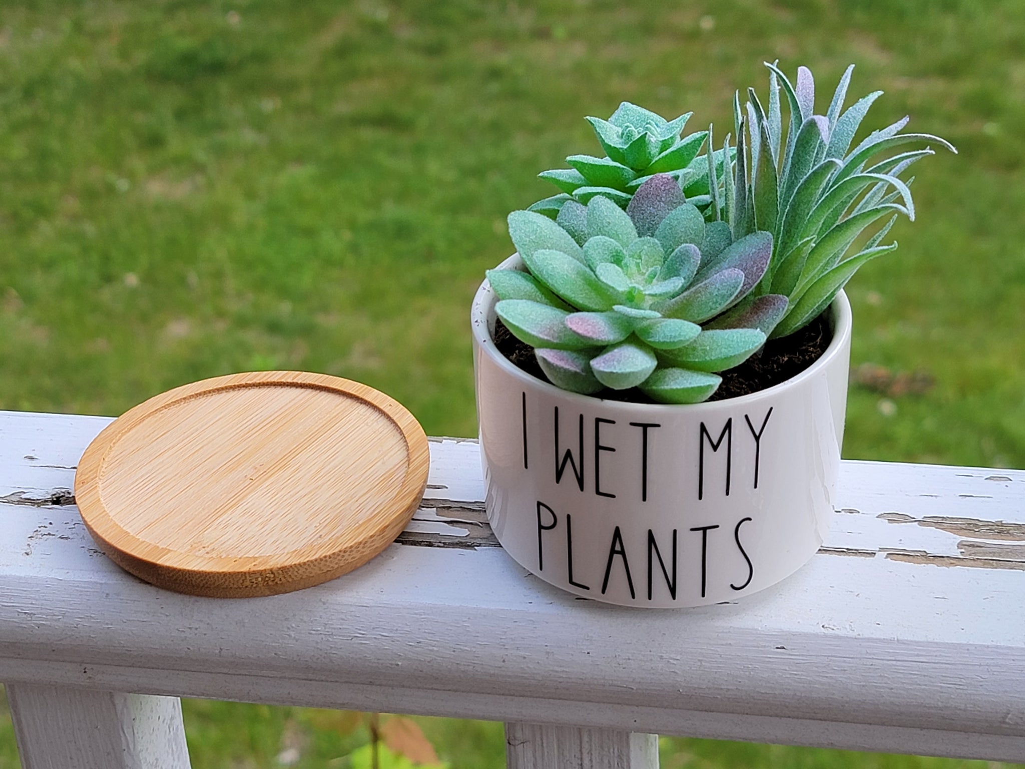Funny Succulent Pots