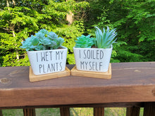 Load image into Gallery viewer, 2 Pack Square Funny Succulent Planters I Soiled Myself &amp; I Wet My Plants
