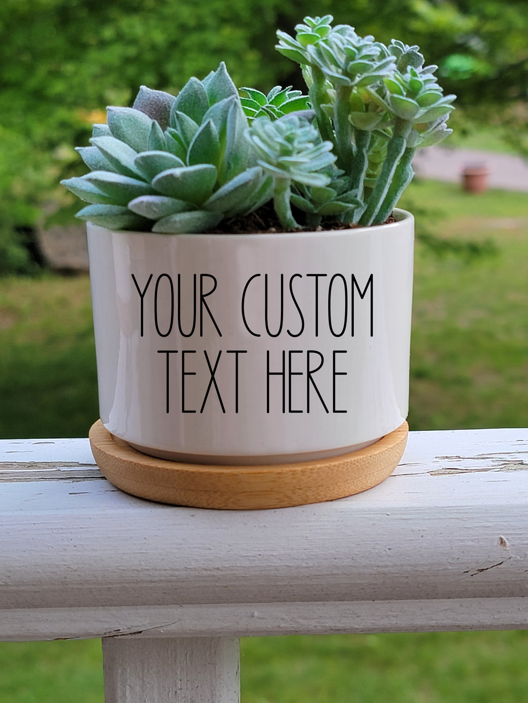 Small white round succulent pot with your custom text added.