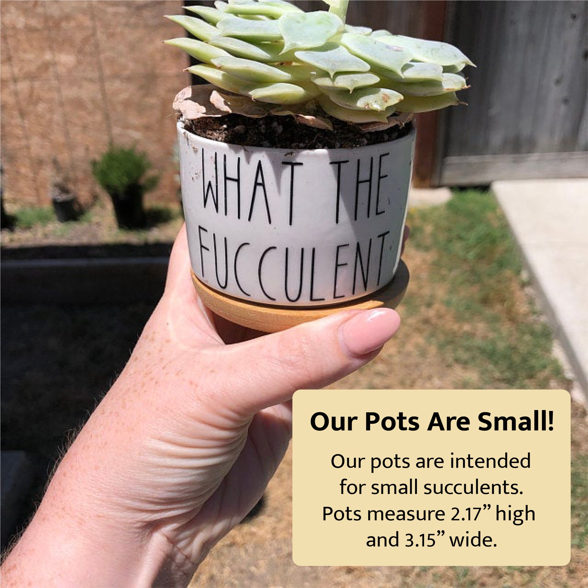 Funny Custom Text Succulent Pots
