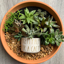 Load image into Gallery viewer, Pretty Fly For A Cacti Succulent pot design
