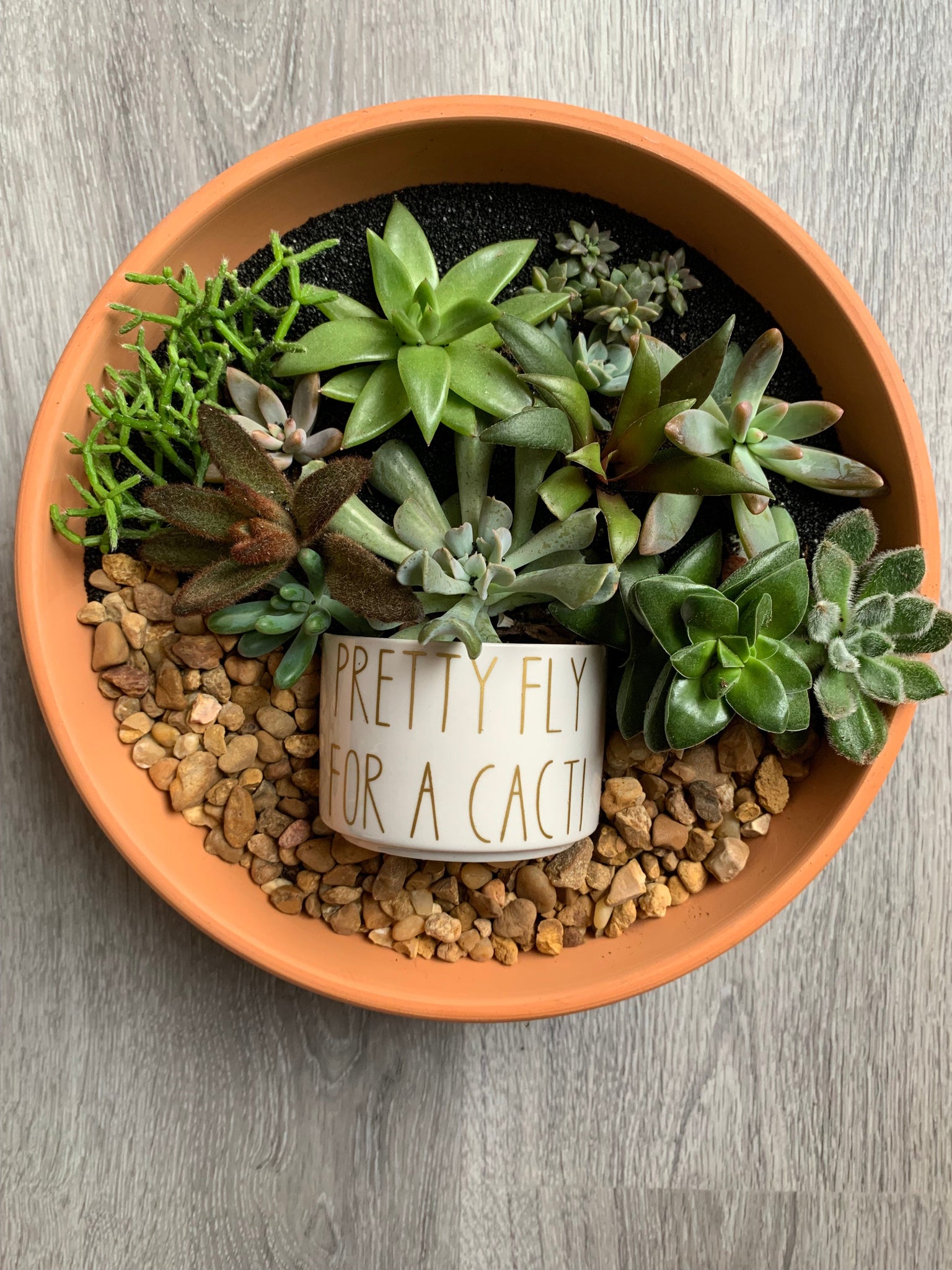 custom succulent pot Funny Custom Text Succulent Pots
